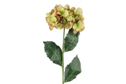 4LIVING HORTENSIA OKSA 60 CM LAJITELMA