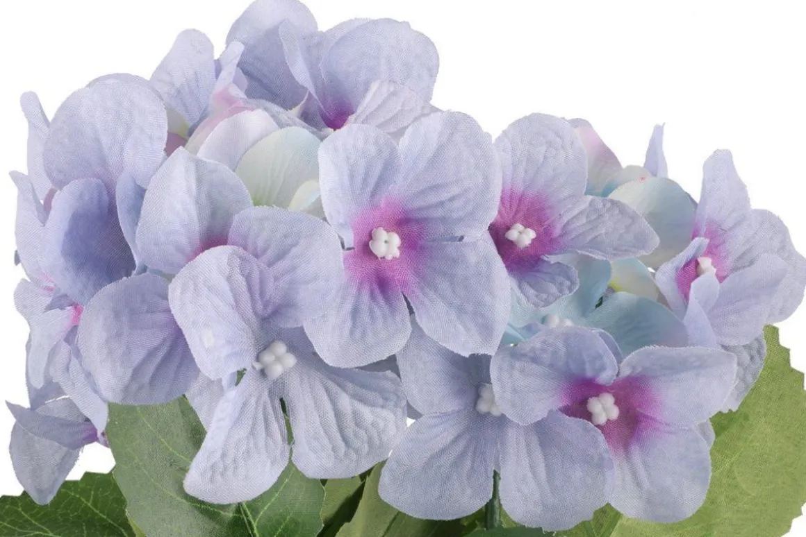 4LIVING HORTENSIA RUUKUSSA TEKOKASVI LAJITELMA