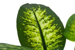 4LIVING KIRJOVEHKA RUUKUSSA 90 CM