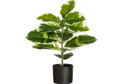 4LIVING KUMIPUU KIRJAVA RUUKUSSA 60 CM