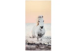 4LIVING  KYLPYPYYHE PONY DREAM 70X140 CM