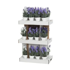 4LIVING LAVENTELI 26 CM