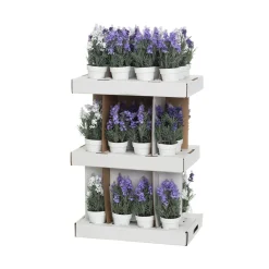 4LIVING LAVENTELI 26 CM