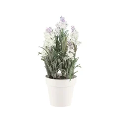 4LIVING LAVENTELI 26 CM