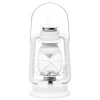4LIVING MYRSKYLYHTY LED VALKOINEN 34 CM