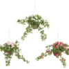 4LIVING PELARGONIA AMPPELI TEKOKASVI LAJITELMA