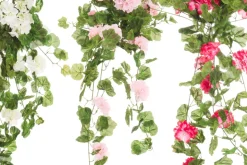 4LIVING PELARGONIA KIMPPU RIIPPUVA 80 CM TEKOKASVI LAJITELMA