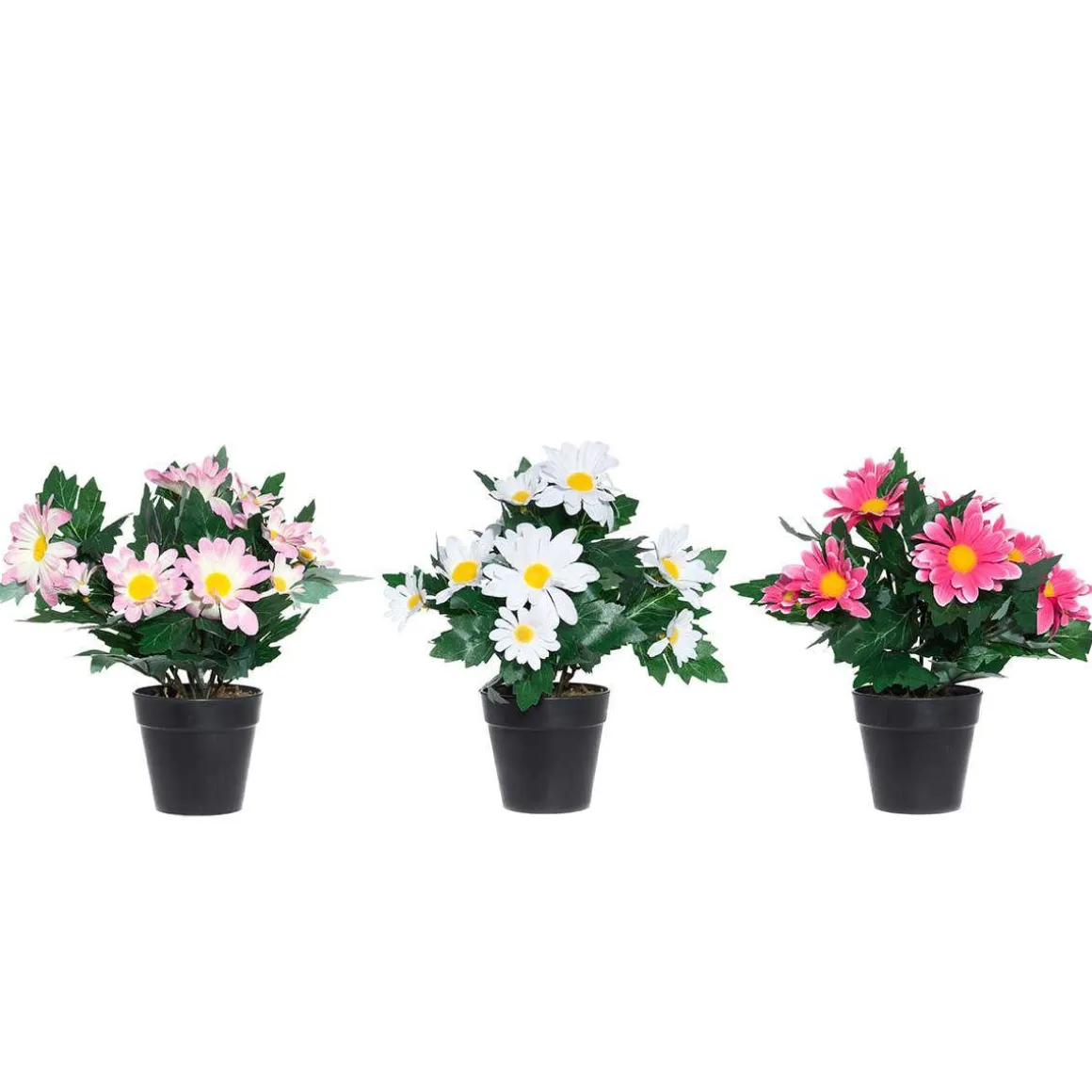 4LIVING PÄIVÄNKAKKARA RUUKUSSA 30 CM