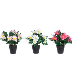 4LIVING PÄIVÄNKAKKARA RUUKUSSA 30 CM