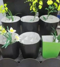 4LIVING PÄÄSIÄISKUKKA OKSA LAJITELMA DISPLAY