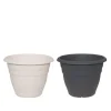 4LIVING RUUKKU BASIC 30 CM LAJITELMA