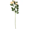 4LIVING RUUSU OKSA 63 CM LAJITELMA