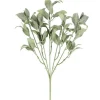 4LIVING SALVIA KIMPPU 34 CM TEKOKASVI
