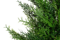 4LIVING SYPRESSI 90 CM