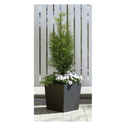 4LIVING TERMORUUKKU CUBIC MUSTA 39X39X39 CM