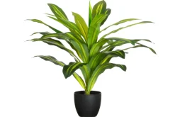 4LIVING TRAAKKIPUU  RUUKUSSA 60 CM