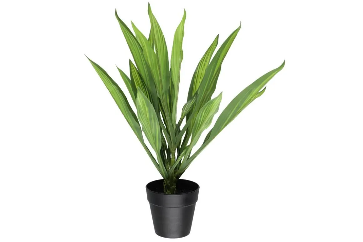 4LIVING TRAAKKIPUU RUUKUSSA VIHREÄ 45 CM