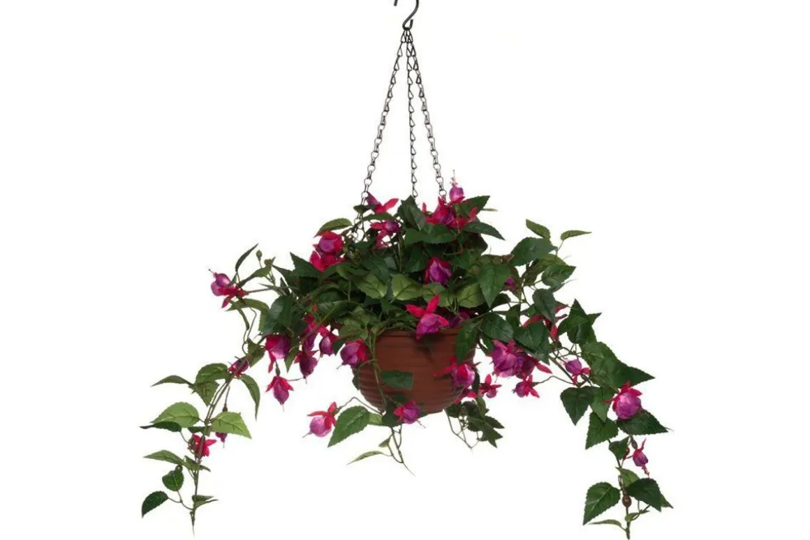 4LIVING VERENPISARA TEKOKASVI AMPPELISSA 22 CM