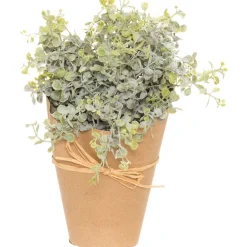 4LIVING VIHERKASVI 25 CM