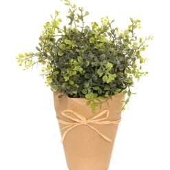 4LIVING VIHERKASVI 25 CM