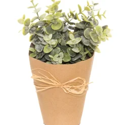 4LIVING VIHERKASVI 25 CM