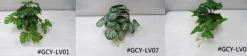 4LIVING VIHERKASVI LAJITELMA