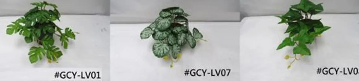 4LIVING VIHERKASVI LAJITELMA