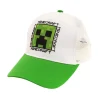 MINECRAFT LASTEN MINECRAFT LIPPIS 54