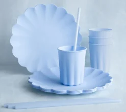 MUOVIPILLI UUDELLEENKÄYTETTÄVÄ PUHDISTUSHARJALLA 23 CM V.SININE