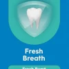 ORAL-B PRO-EXPERT FRESH BREATH HAMMASTAHNA 75 ML