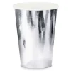 PAHVIMUKI KORKEAKIILTOHOPEA 220 ML 6 KPL/PKT