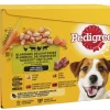 PEDIGREE ADULT KASTIKELAJ. 12X100G 1,2 KG