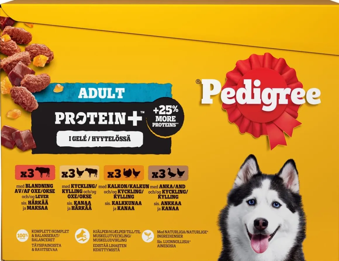 PEDIGREE ADULT PROTEIN+ HYYTELÖLAJ. 12*85G 1,02 KG