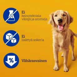 PEDIGREE DENTASTIX LARGE 4KPL  154 G