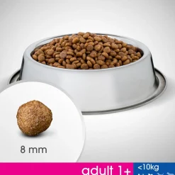 PERFECT FIT ALLE 10KG ADULT KANAA 2,6 KG