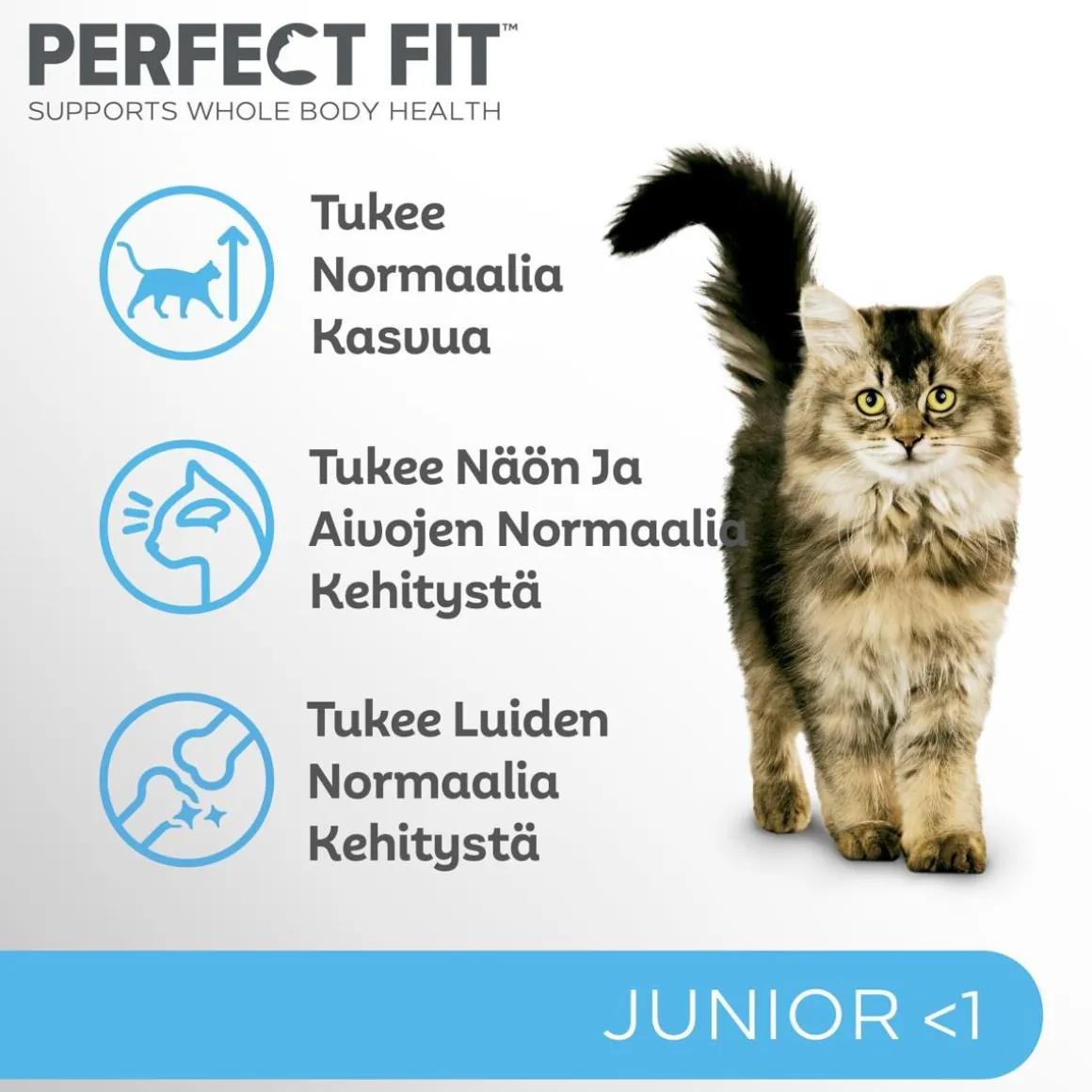 PERFECT FIT JUNIOR KANAA 750 G
