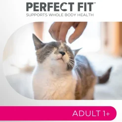PERFECT FIT ADULTA LOHTA 750 G