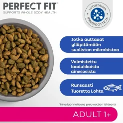 PERFECT FIT ADULTA LOHTA 750 G