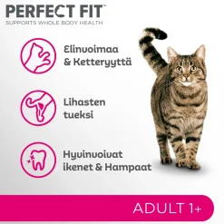 PERFECT FIT ADULTA LOHTA 750 G