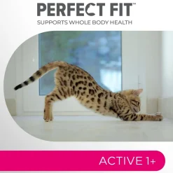 PERFECT FIT ADULT HÄRKÄÄ 750 G