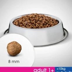PERFECT FIT ALLE 10KG ADULT KANAA 825 G