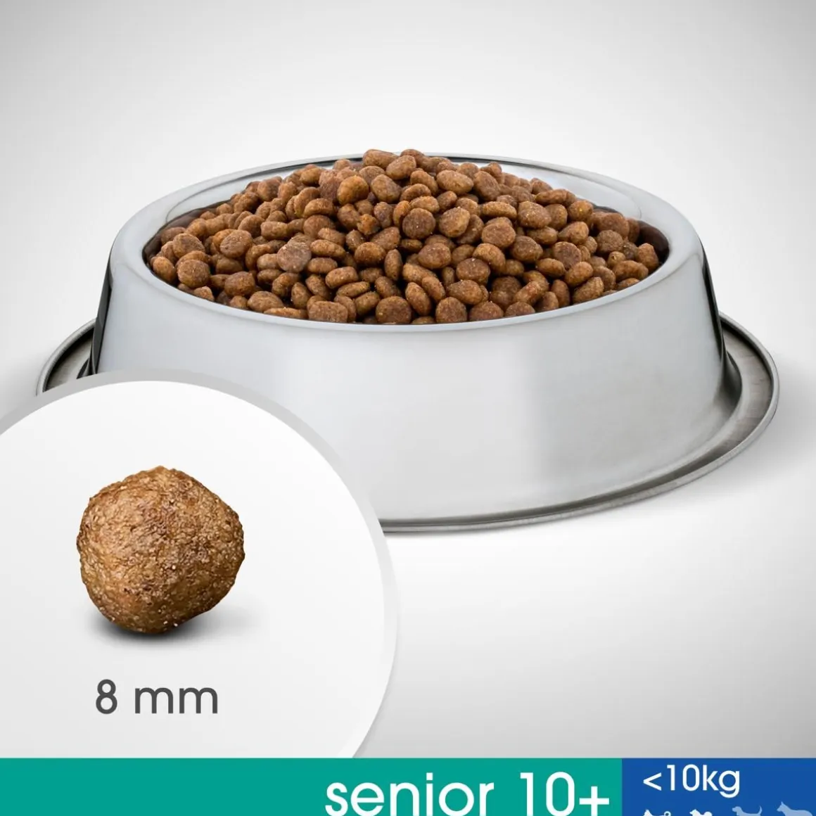 PERFECT FIT ALLE 10KG SENIOR KANAA 825 G
