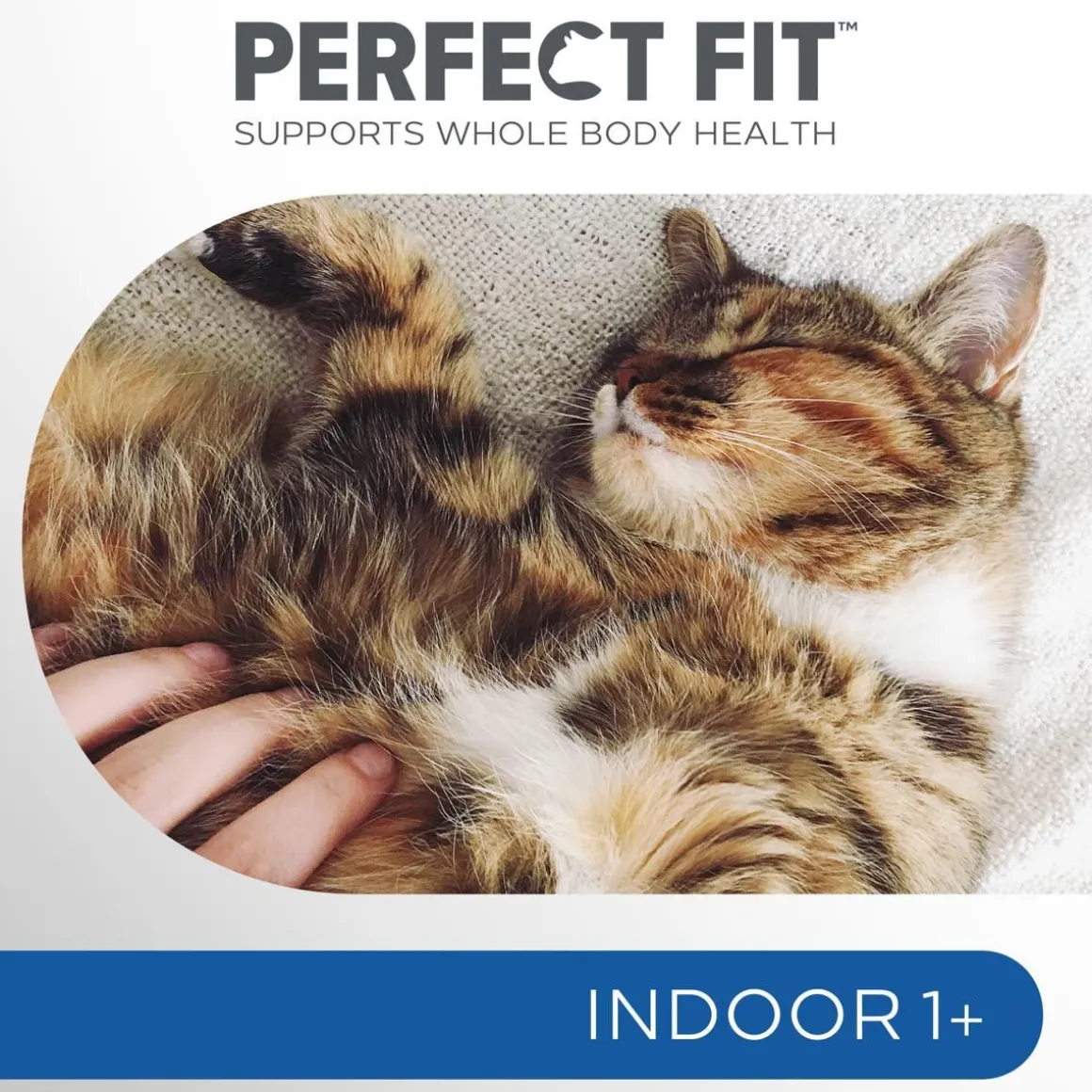 PERFECT FIT INDOOR KANAA 750 G