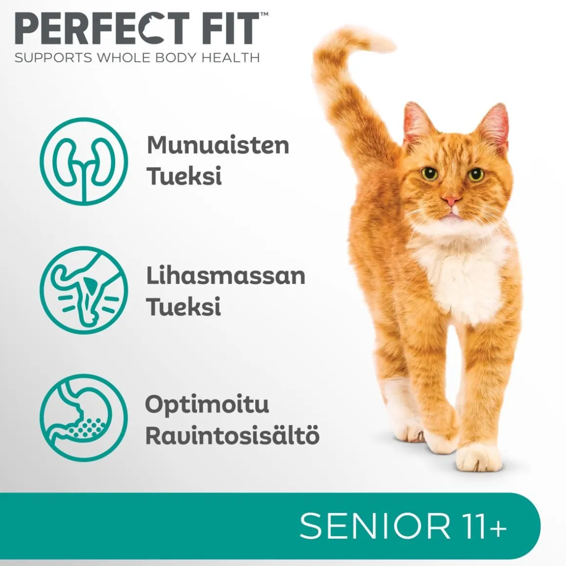 PERFECT FIT SENIOR 11+ KANAA 750 G