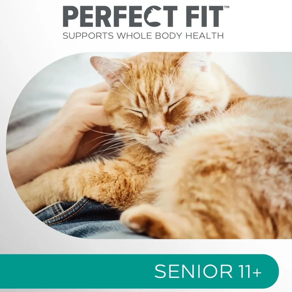 PERFECT FIT SENIOR 11+ KANAA 750 G