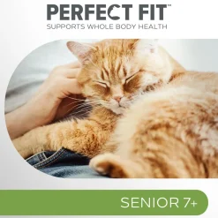 PERFECT FIT SENIOR KANAA 1,4 KG