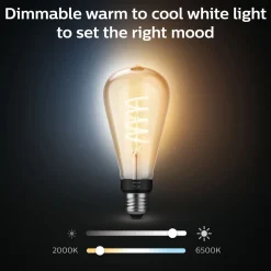 PHILIPS HUE WA ÄLYLAMPPU FILAMENT 7W ST72 E27 550L 2200-4500K