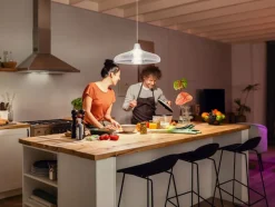 PHILIPS HUE WHITE ÄLYLAMPPU 15.5W A67 E27 1600L 2700K