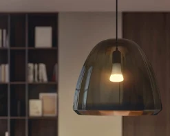 PHILIPS HUE WHITE ÄLYLAMPPU 15.5W A67 E27 1600L 2700K