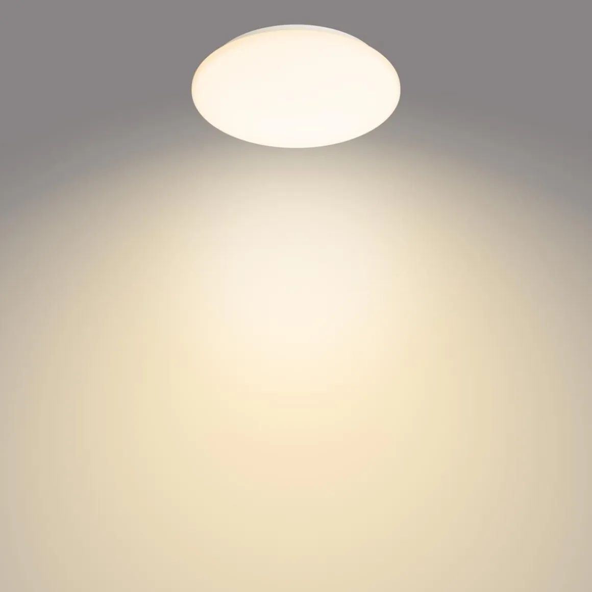 PHILIPS MOIRE KATTOVALAISIN 10W 2700K PYÖREÄ VALKOINEN